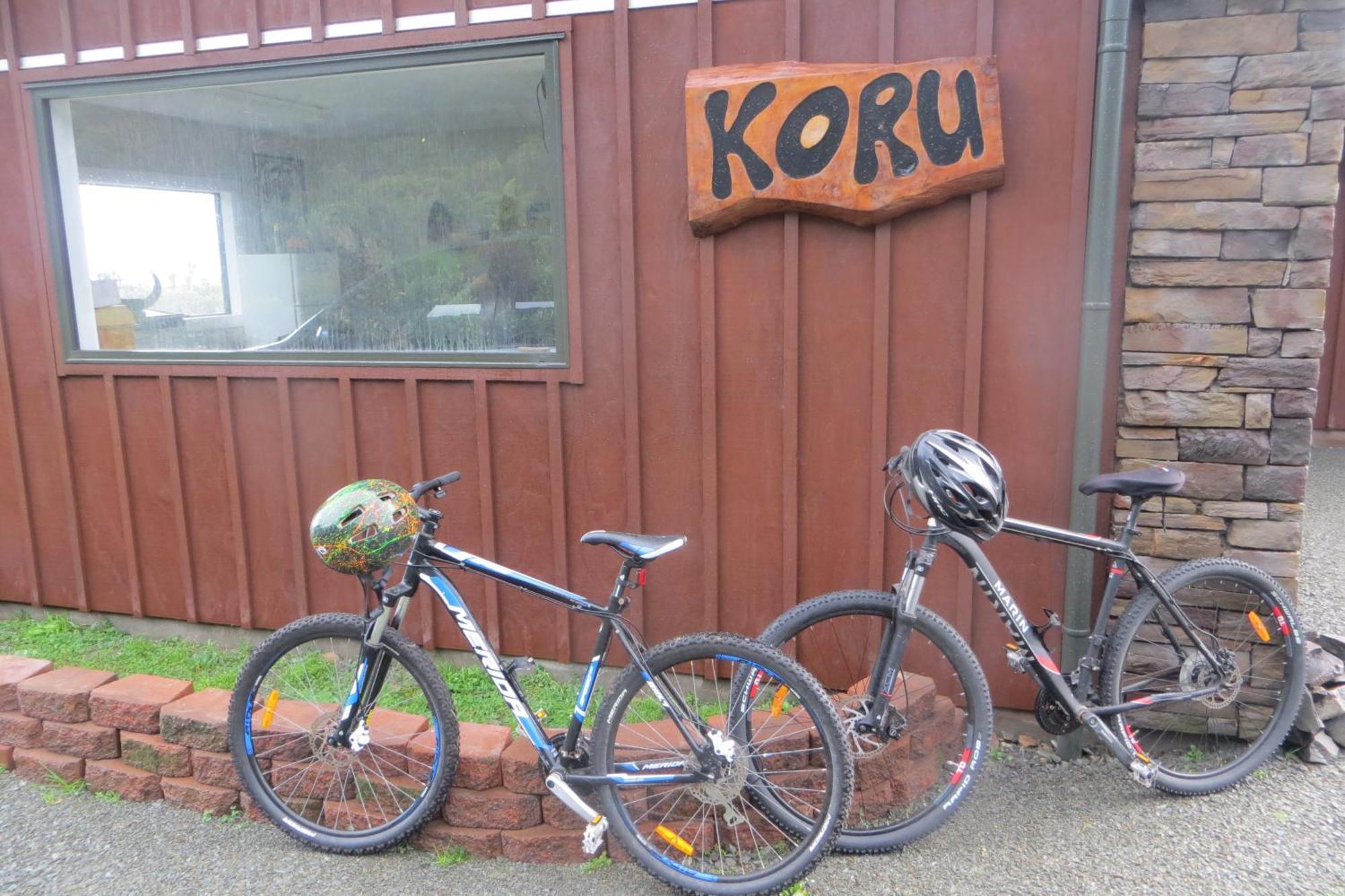 Koru Beachfront Holiday Cabins & Hot Tub Barrytown Exterior photo